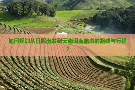 如何规划从日照出发到云南洱海旅游的路线与行程？