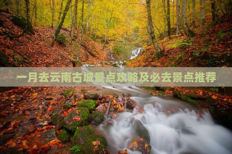一月去云南古城景点攻略及必去景点推荐