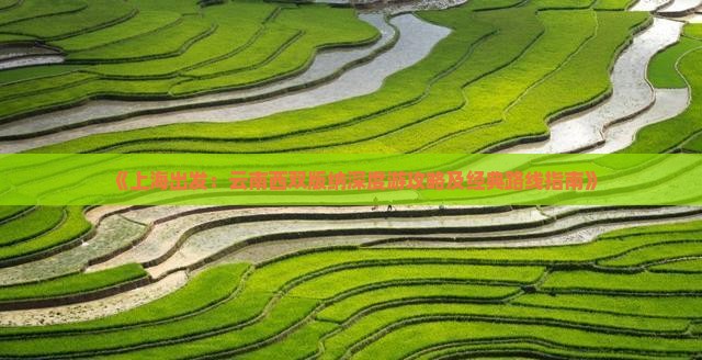 《上海出发：云南西双版纳深度游攻略及经典路线指南》
