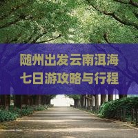 随州出发云南洱海七日游攻略与行程安排，如何规划旅游路峡