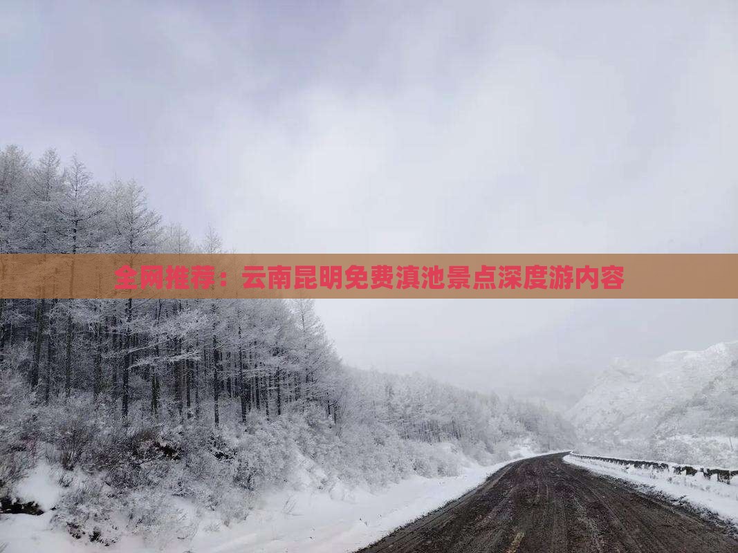 全网推荐：云南昆明免费滇池景点深度游内容