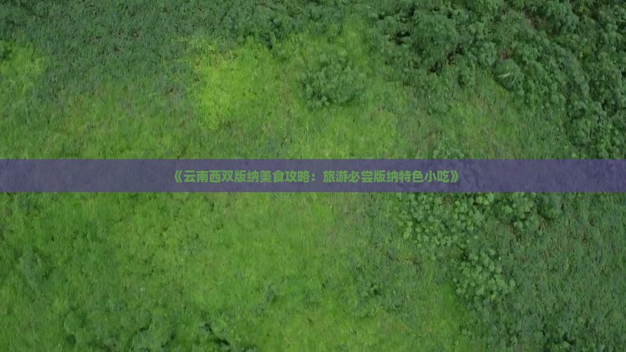 《云南西双版纳美食攻略：旅游必尝版纳特色小吃》