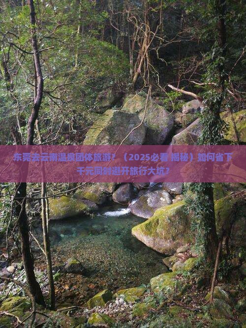 东莞去云南温泉团体旅游