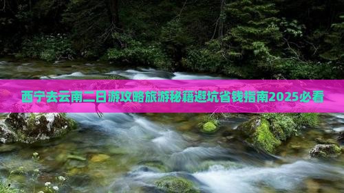 西宁去云南二日游