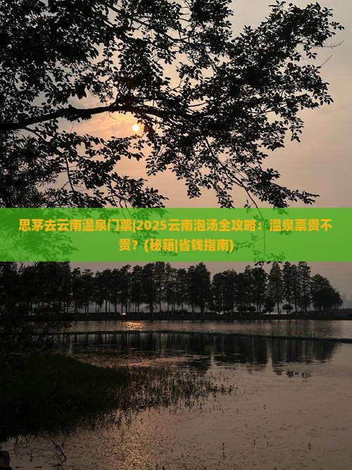 思茅去云南温泉门票