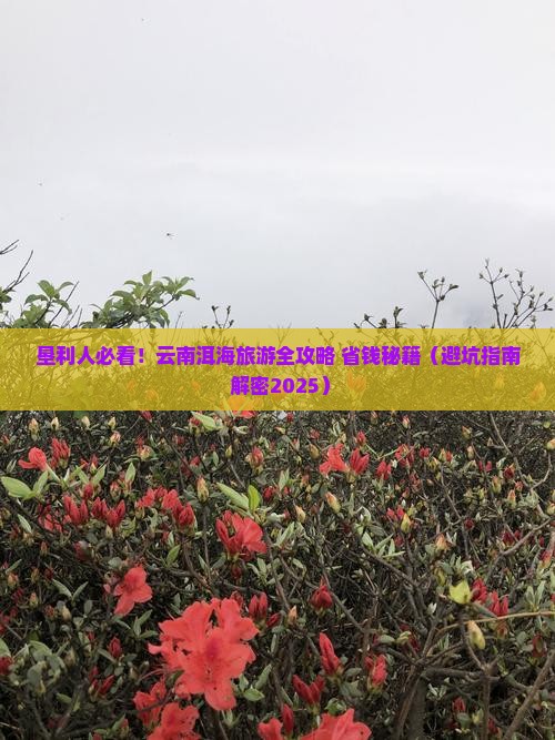 垦利去云南洱海大型旅游团