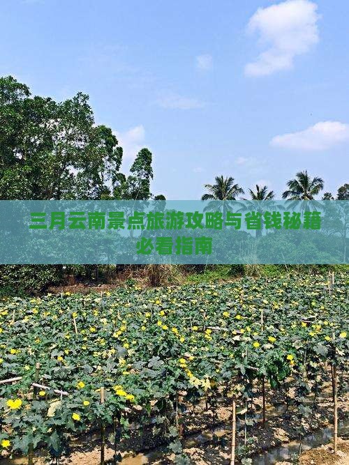 三月去云南昆明团体旅游