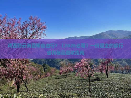 鸡西到云南昆明自由行
