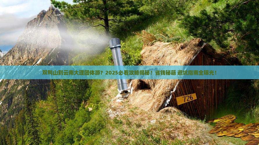 双鸭山到云南大理团体旅游