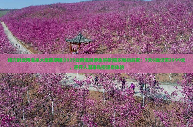 绍兴到云南温泉大型旅游团