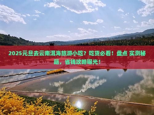 元旦去云南洱海旅游小吃