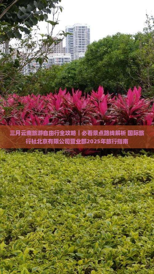三月去云南旅游