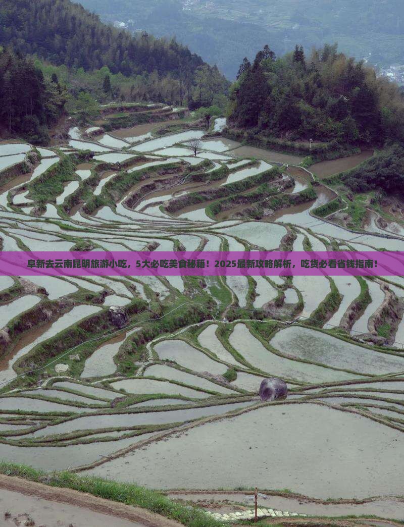 阜新去云南昆明旅游小吃