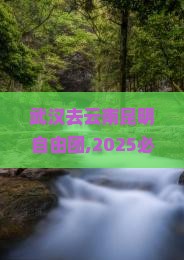 武汉去云南昆明自由团 武汉去云南昆明自由团