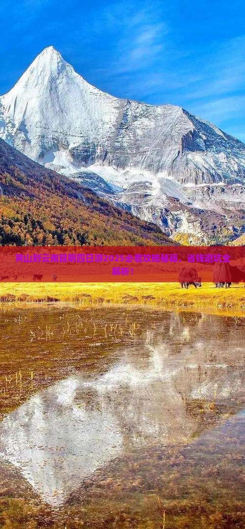 黄山到云南昆明四日游