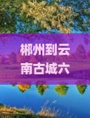郴州去云南古城六日游