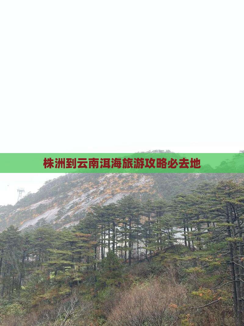 株洲到云南洱海必去地