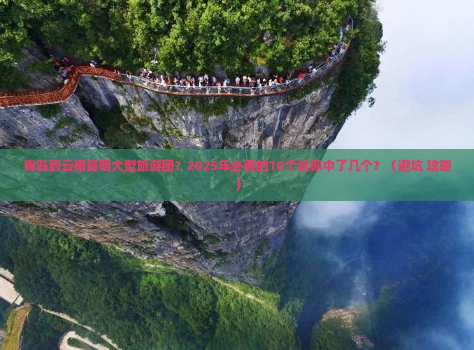青岛到云南昆明大型旅游团
