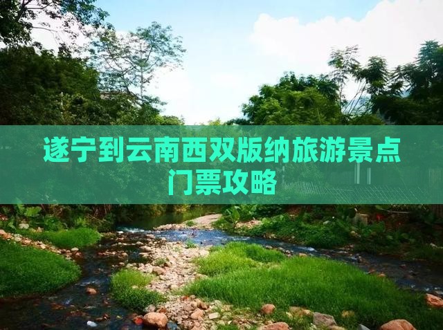 遂宁到云南西双版纳门票