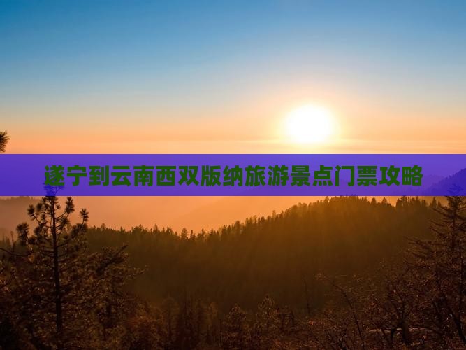 遂宁到云南西双版纳门票