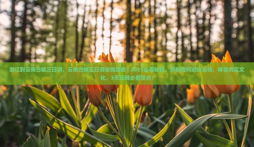 潜江到云南古城三日游