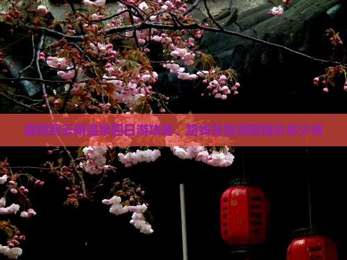 盘锦到云南温泉四日游