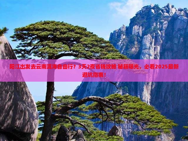 阳江去云南洱海自由行