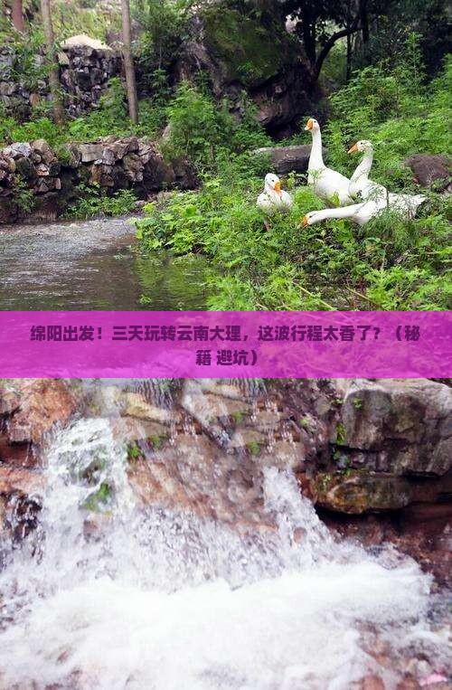 绵阳到云南大理三日游