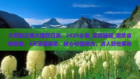 大同到云南大理四日游