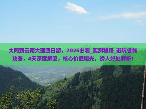 大同到云南大理四日游