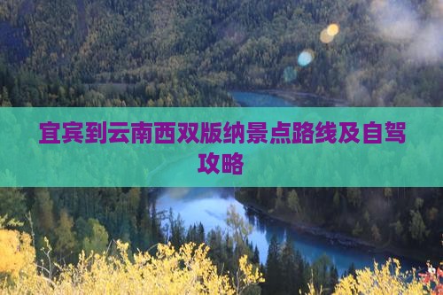 宜宾到云南西双版纳景点