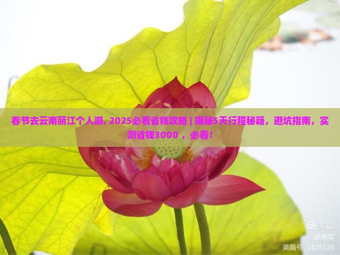 春节去云南丽江个人游