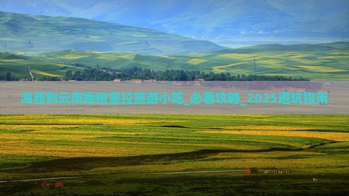 海西到云南香格里拉旅游小吃