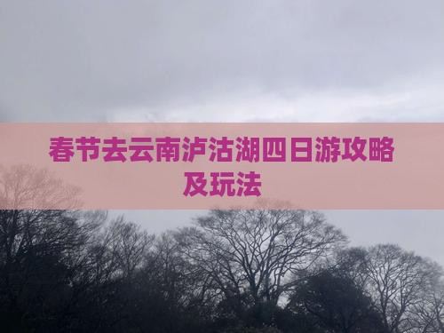 春节去云南泸沽湖四日游