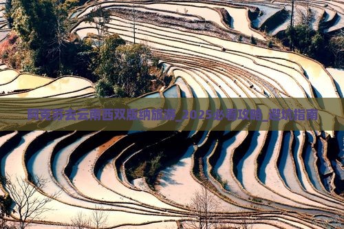 阿克苏去云南西双版纳旅游