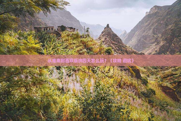淮南到云南西双版纳四日游