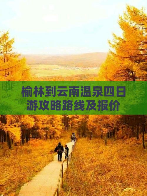 榆林到云南温泉四日游