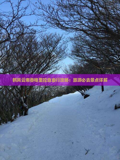 鹤岗去云南香格里拉自由行