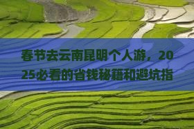 春节去云南昆明个人游