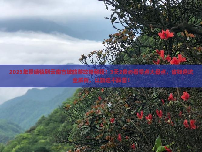 景德镇到云南古城旅游