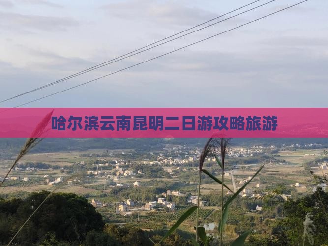 哈尔滨去云南昆明二日游