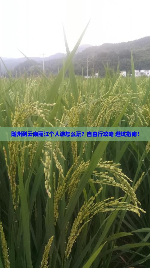 随州到云南丽江个人游