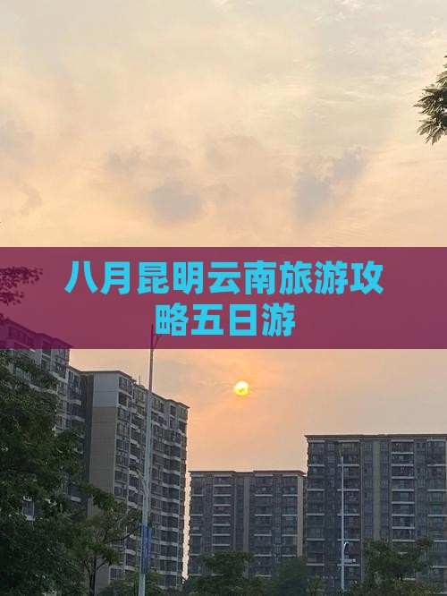 八月去云南昆明五日游