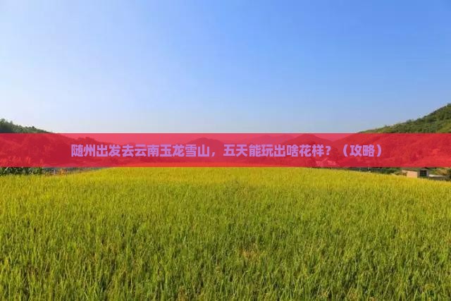 随州到云南玉龙雪山五日游