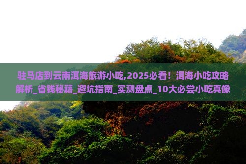 驻马店到云南洱海旅游小吃