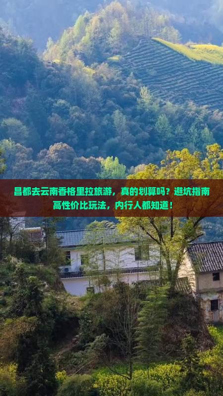 昌都去云南香格里拉旅游