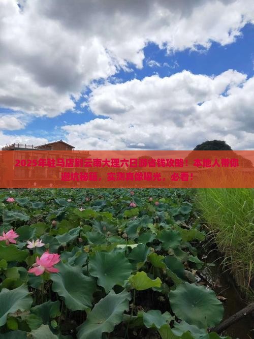 驻马店到云南大理六日游