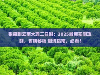张掖到云南大理二日游