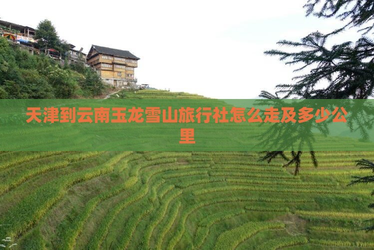 天津到云南玉龙雪山旅行社