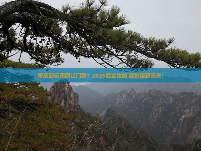 重庆到云南丽江门票